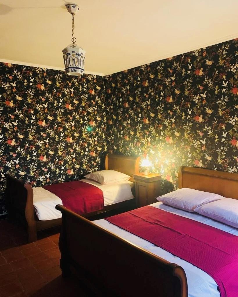 La Babayaga Bed and Breakfast Capestang Buitenkant foto